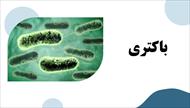 پاورپوینت درباره باکتری